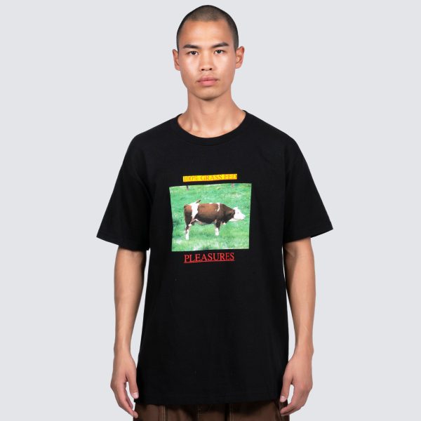 GRASS FED T-SHIRT Hot on Sale