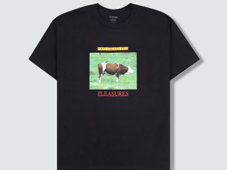 GRASS FED T-SHIRT Hot on Sale