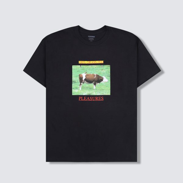 GRASS FED T-SHIRT Hot on Sale