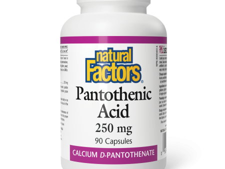 Natural Factors Pantothenic Acid  250 mg  90 Capsules For Discount