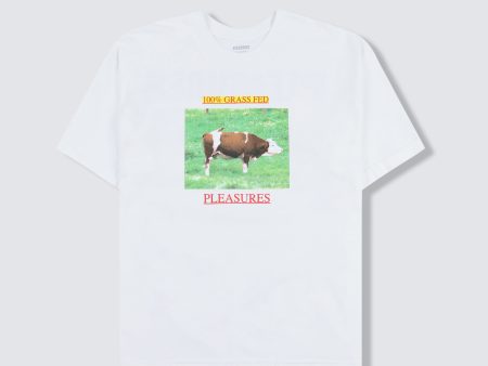 GRASS FED T-SHIRT Online Sale