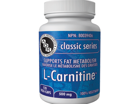 L-CARNITINE 500MG 120CAP AOR For Discount