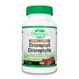 CHLOROPHYLLE 100CAP CHEWABLE Supply